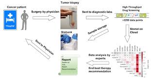 Best value for the price: Microfluidic Platform For The Best Possible Cancer Therapy Healthcare Industry