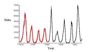 Fourier Part 7