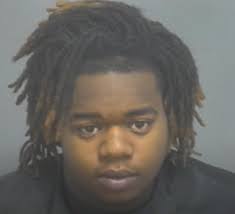 Children aged 10 & 13 arrested with 18-year-old after home invasion  involving gun & assault in Brookneal