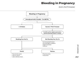 Also, the color often varies from pink to red to brown. Causes Of Late Bleeding In Pregnancy 2nd 3rd Trimester Grepmed