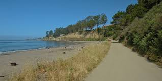 Maybe you would like to learn more about one of these? New Brighton State Beach Outdoor Project