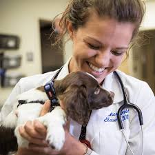 Your Brand is My Business