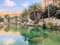 الوادي سلطنة عمان ماء المناظر الطبيعيه صحراء بحيرة طبيعة غريب استوائي أشجار النخيل مغامرة Pikist