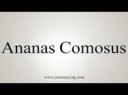 How To Say Ananas Comosus Youtube