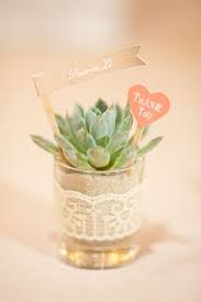 Ireland Ireland Ireland Plant Wedding Favors Diy Wedding Favors Succulent Wedding Favors
