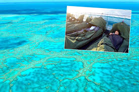 The great barrier reef is the world's largest coral system, stretching for 1500 miles along australia's northeast coast. Im Great Barrier Reef Der Wohl Schonste Zeltplatz Der Welt