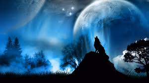Here are only the best wolf hd wallpapers. 44 4k Wolf Wallpaper On Wallpapersafari