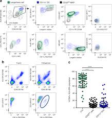 Papillae are protrusions of the. Identification Of Hiv Transmitting Cd11c Human Epidermal Dendritic Cells Nature Communications