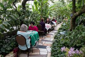 Photos Holiday Tea At Como Park Zoo And Conservatory North Garden North Facing Garden Holidays Tea