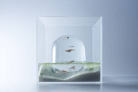 waterscape by haruka misawa the fish bowl reinvented yatzer aquarium design aquarium landscape waterscape