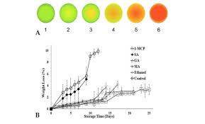 A Standard Tomato Ripening Color Chart B Weight Loss Of Tomato Download Scientific Diagram