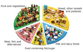 68 comprehensive food pyramid pie chart