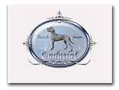 Puppies are sold on return contract to pet or companion homes except on rare occasion. Deutsche Dogge Great Dane Breeders And Kennels Eurobreeder Com