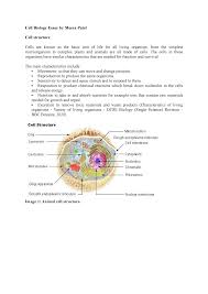 Maybe you would like to learn more about one of these? Cell Biology Essay By Meera Patel Studocu