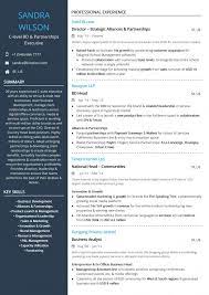 Search over 100 hr approved resume examples. C Level Resume Examples 2021 In 2021 Resume Examples Standard Cv Format Resume