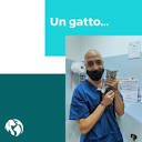 Un gatto... - Ambulatorio Veterinario Annoscia dr. Corrado | Facebook