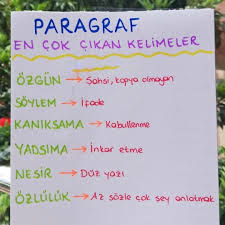 Paragrafta En Cok Cikan Kelimeler Egitim Felsefesi Ders Programlari Egitim Teknolojisi