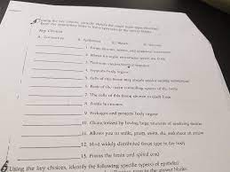 Solved Using The Key Choices Correctly Identify The Major Chegg Com
