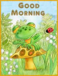 images?q=tbn:ANd9GcTfy3-oGpLQUjTF0kYSTpERjB6Hgjt0WJ6l3bz96BeEo2eBKvfhlw