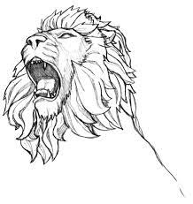 epingle par madeline salomez sur leos tete de lion dessin coloriage pelle