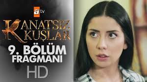 Kalbinesor Kanatsizkuslar Kus Izleme