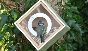 Le Nourrissage Des Oiseaux Animaux Du Jardin