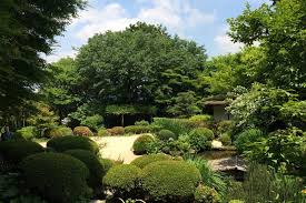 1:38 hellohellostadio 24 418 просмотров. ã²ã¿ã¤ã®åº­ã§ãããã©ããé³´ã è©©äººç³å·ä¸å±±ã®çµã®ãã¿ã è©©ä»å  Muusuäº¬é½çvol 3 Wa äº¬é½ã'çºæããå°åã¡ãã£ã¢