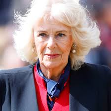 Queen Camilla Planning Major Changes After Troubling Battle