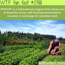 I M Joining This Fun Facts Weird Facts Wtf Fun Facts