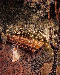 Gorgeous Wedding Venue Setting Ideas With Lights Outdoor Wedding Wedding Reception Lighting Luxury Wedding Venues