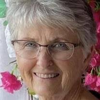 Sandra D. Sander Obituary