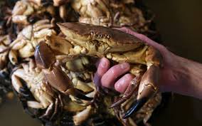 Cromer Crab Fisherman Shortage As Young People Wont Stick