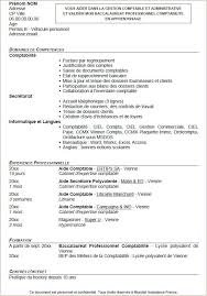 Exemple De Cv Vendeur Polyvalent In 2020 Resume Words Cv Words Functional Resume