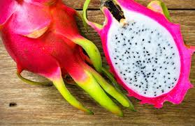 Check spelling or type a new query. Growing Dragon Fruit How To Grow Dragon Fruit From Seed And Cuttings