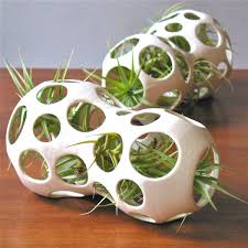 It's a good way to let your creativity go wild, displaying the succulent, cactus, herb, air plant lightweight but durable. More Air Plant Display Ideas That Seamlessly Blend Function And Style