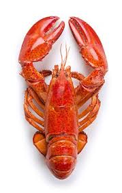 If I Allowed Myself A Break From My Vegan Diet I M A Huge Fan Of Lobster Fruits De Mer Manger Poisson