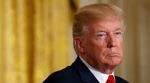 Donald Trump bodyguard to leave White House, says govt work not for him