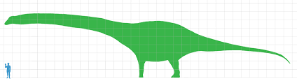 On le sait, au fond de toi, tu es un dinosaure. Quel Etait Le Plus Grand Des Dinosaures