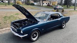 Image result for Guardsman Blue 1964 Mustang
