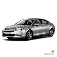 Image result for Gris Fulminator 2011 Citroen