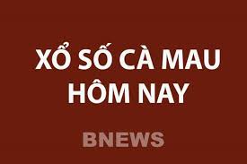 Bnews.vn - News update