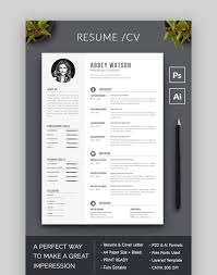 A sectionalised design, complete with stylish type and icons included (you get the cv in ai format and the icons in psd), this template allows you to customise it with your own icons too. 25 Awesome Resume Cv Templates With Beautiful Layout Designs 2020
