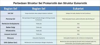 Tabel berikut mencantumkan penyakit infeksi teratas berdasarkan jumlah kematian pada tahun 2002. Fungsi Sel Pengertian Jenis Struktur Bagiannya Lengkap