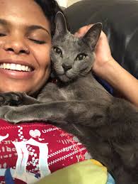 How to find a lost cat in Arizona?