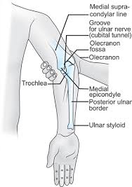 Catheter that is inserted through the urethra and use. Jaypeedigital Ebook Reader