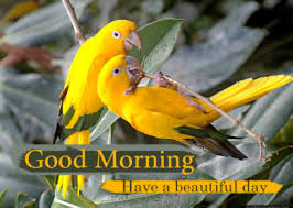 The first image features the mighty dolomites. Good Morning Images Quotes Wishes Messages Greetings Ecards