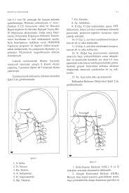 faktöriyel soruları PDF-incelenmesi ve farklılaşma