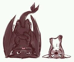 Krokmou Stitch Dessin Anime Dessins Mignons Dessins Disney