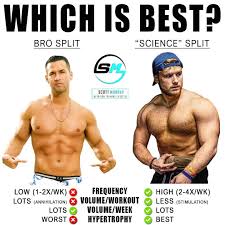 These muscles give height and breadth to back development. Scott Murray Fitness Name The Bro Bro Splits Train Each Muscle Group 1x Wk On Separate Days With A F Ck Tonne Of Volume E G Chest Day Monday Back Day