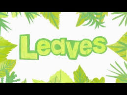 Download Mp3 Fruit Tree Leaves Identification Chart 2018 Free